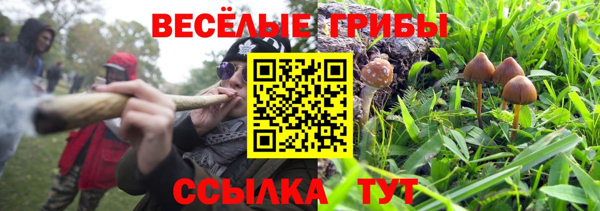 Галлюциногенные грибы Magic Shrooms  Вход с VPN  Белорецк  Галлюциногенные грибы прущие грибы 