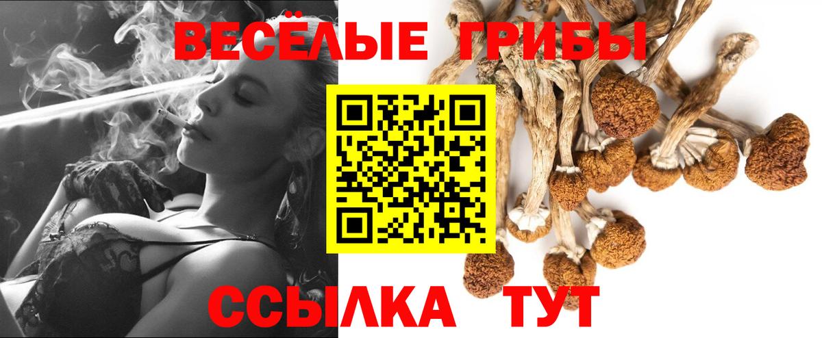 Псилоцибиновые грибы прущие грибы Белорецк